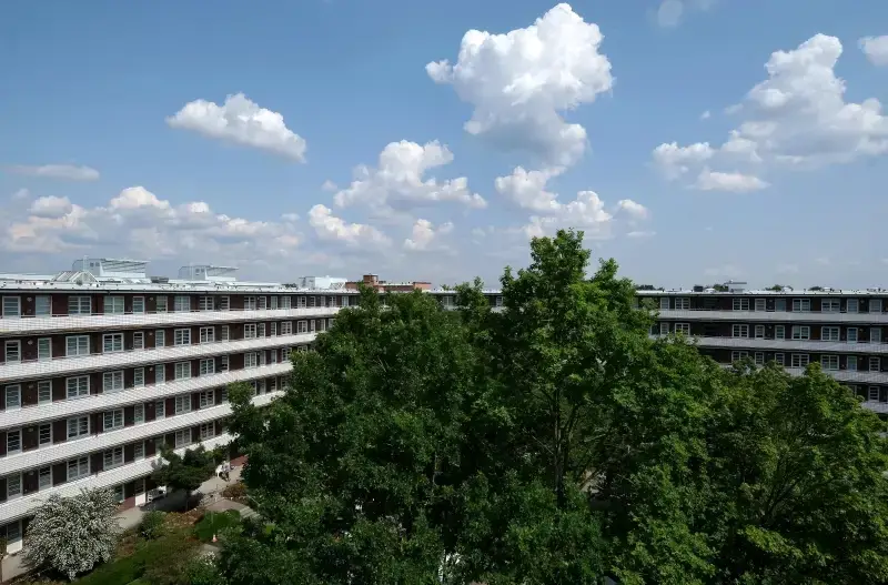 Köster Heinrich u. Caroline Testament-Stiftung – Tagespflege in Tagespflege in Hamburg