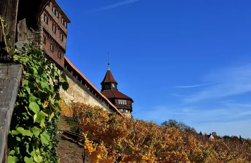 Yesil Pflegedienste GmbH – Tagespflege in Tagespflege in Esslingen am Neckar